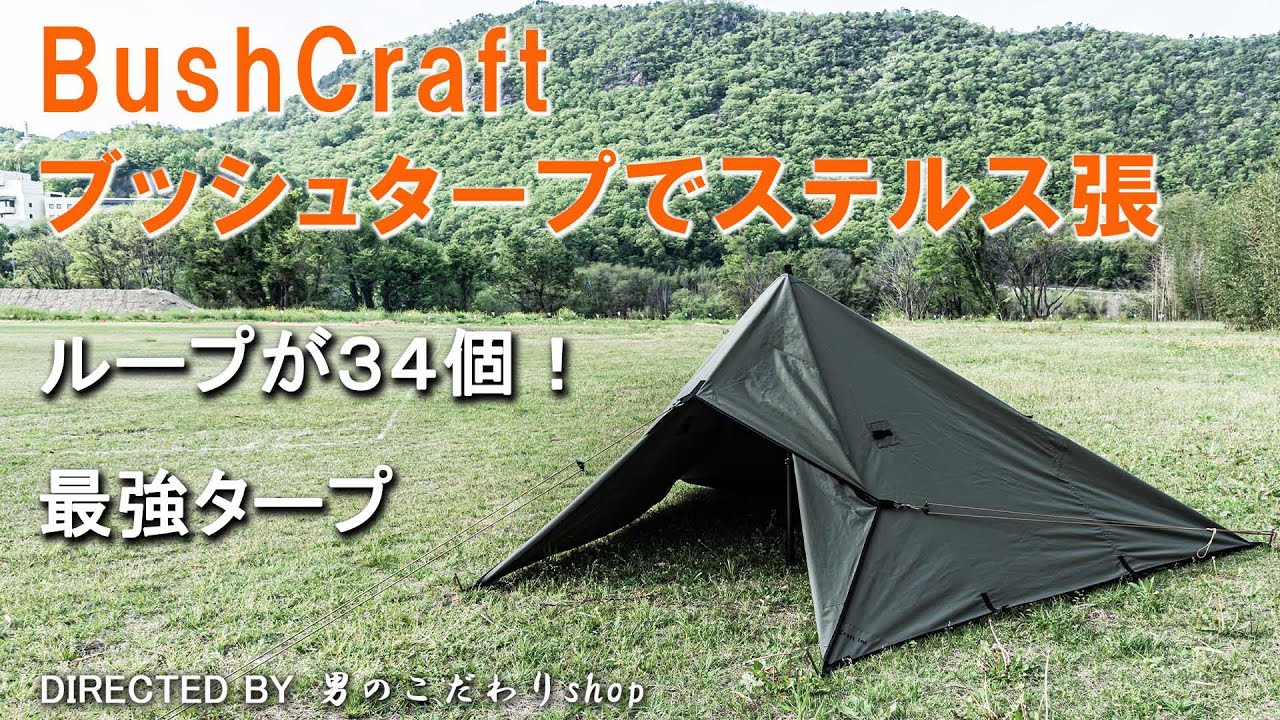タープテント タープ泊 野営 キャンプ ステルス張 タープの張り方 Bush