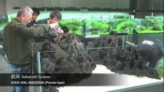 雲山石と佗び草のレイアウト 【前編】 An aquascape with Unzan stone