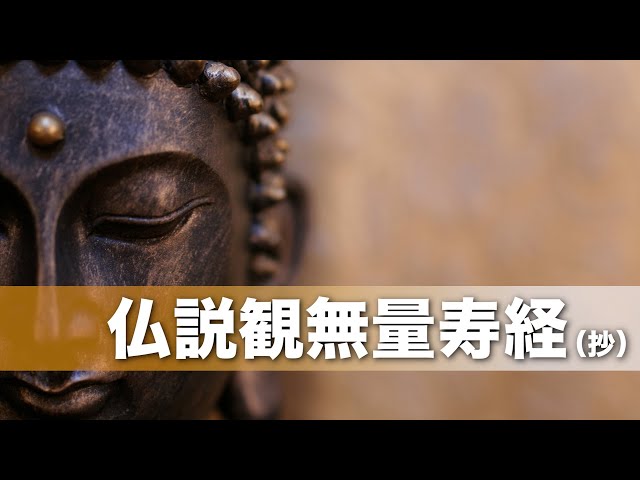 お経】仏説観無量寿経（抄）初段 《王舎城の悲劇｜阿闍世｜韋提希｜頻