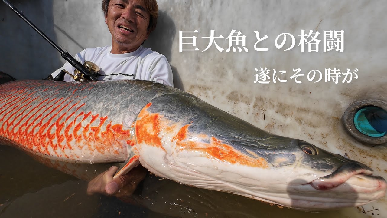 シマノ バンタム PG602LB バス釣り シマノ バンタム PG602LB バス釣り