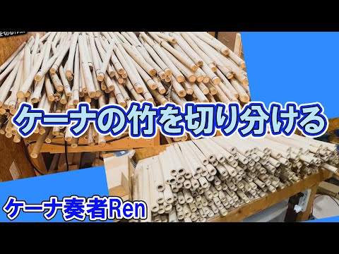 ケーナの竹を切り分ける作業2024【ケーナ奏者Ren】 - YouTube