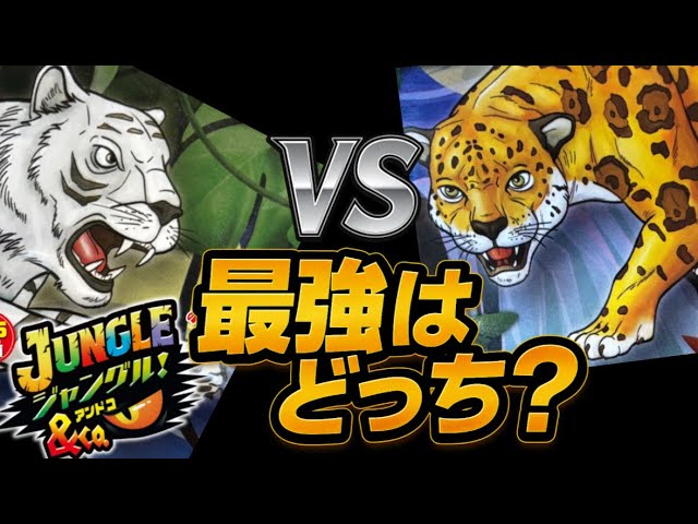 NEW! JUNGLE! & co. DeAgostini Complete Box Set Introducing the