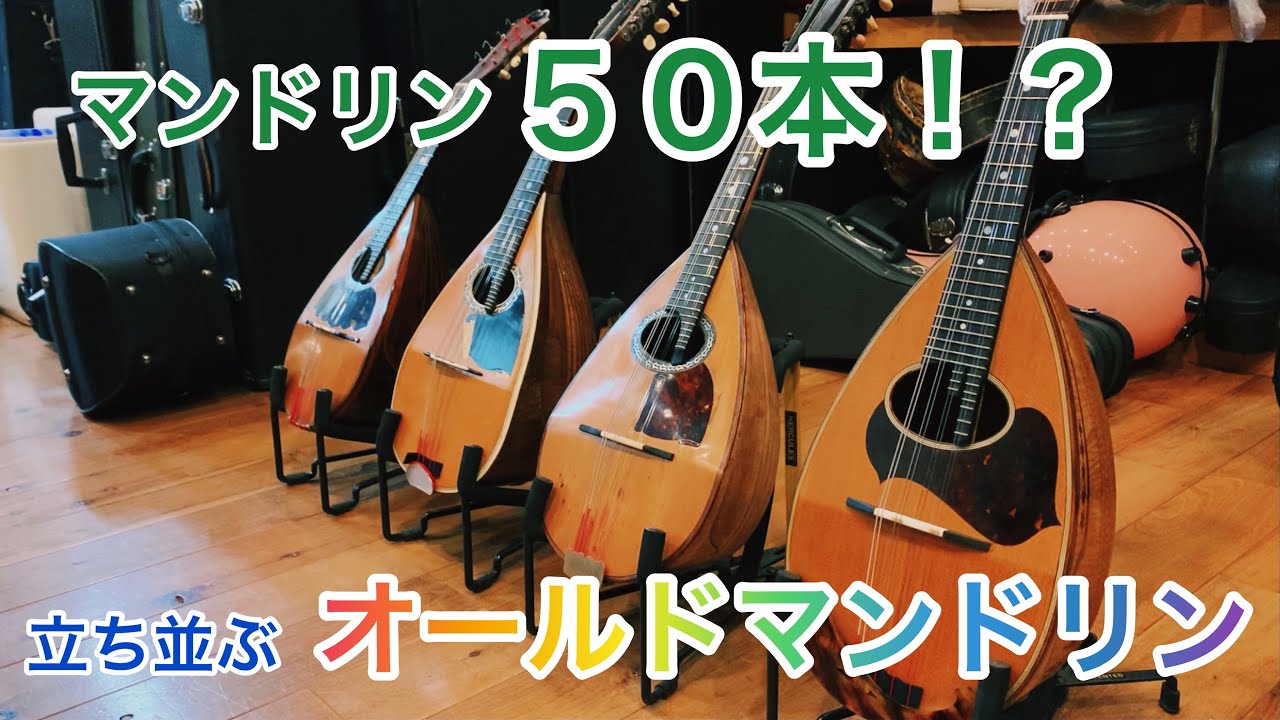 楽器紹介】ヴィンテージマンドリンを特選 - YouTube