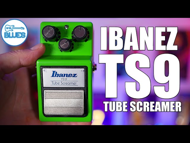 Ibanez Tube Screamer 40th TS9 【公式通販】