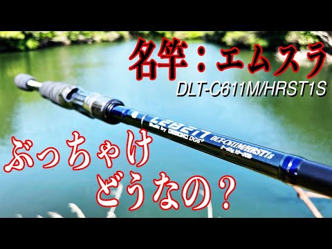 デジーノ レーベン エムスラ 1回使用 デジーノ レーベン エムスラ 1回