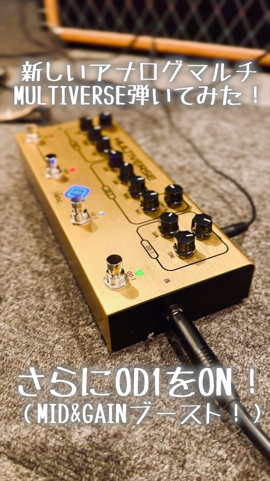 Futra MULTIVERSE + ギターエフェクター 新型アナログマルチ