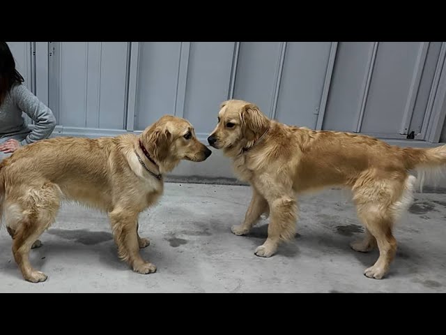 The two, who met again after six months, are concerned about each