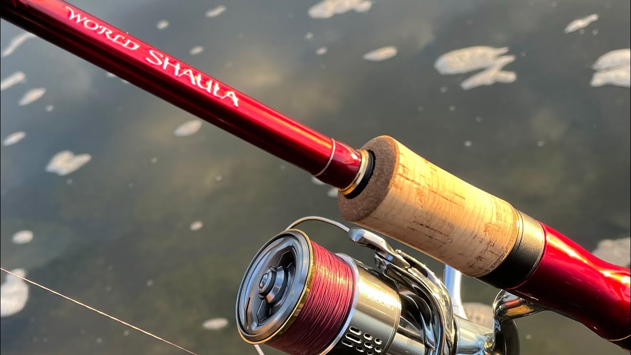 ワールドシャウラ2752Rｰ2は汎用性最強！ - YouTube