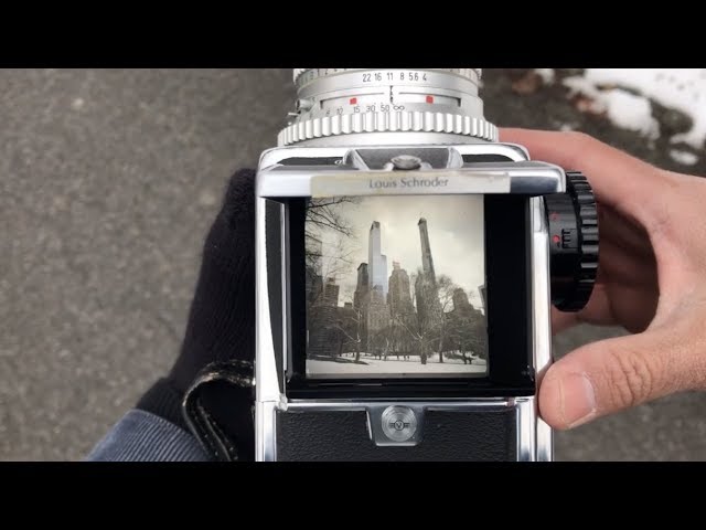 Hasselblad 500cm 50mm Distagon - Behind The Camera: Central Park 2