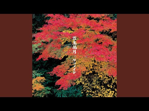 RYAN250 花鳥風月 RYAN250 花鳥風月 RYAN250 花鳥風月 【公式通販】