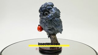 動物の惑星】「シークレット」アカオクロオウム♂ フィギュア