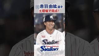 赤羽由紘選手 土壇場で同点！ #swallows #赤羽由紘 #shorts - YouTube