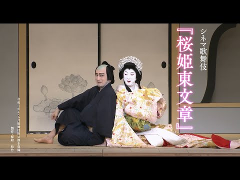 シネマ歌舞伎 桜姫東文章('22松竹)〈2枚組〉 SHOCHIKU STORE | 松竹