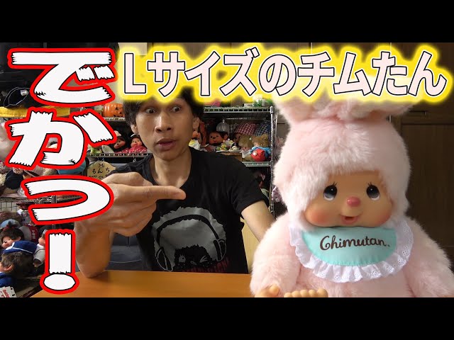 9体セット！monchhichi モンチッチ チムたん S Mサイズ 9体セット