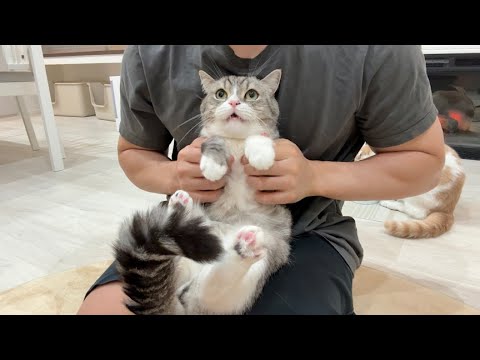 The cat was so cute, grumbling and complaining about being left