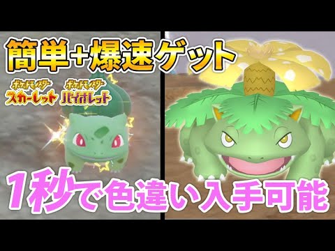 ポケモンSV】超簡単！色違いフシギダネ・フシギバナを超効率よくゲット