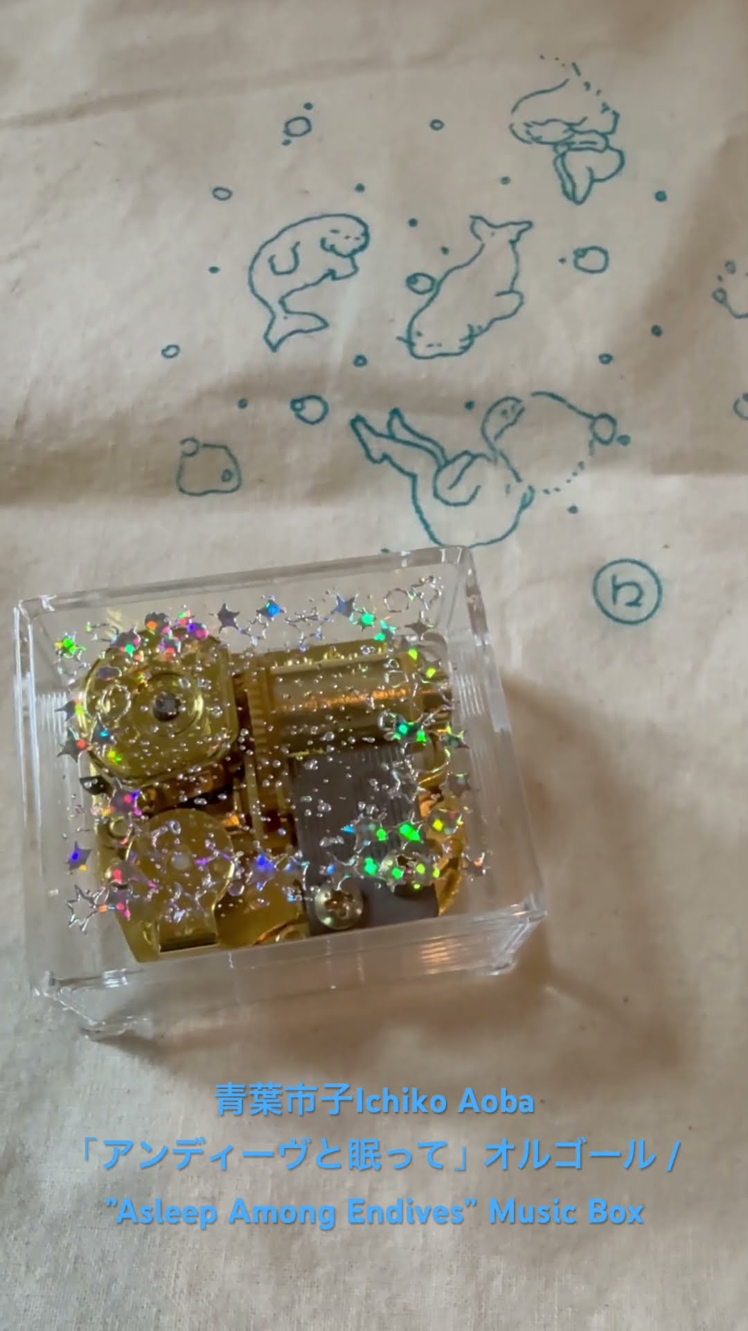 青葉市子 Ichiko Aoba アンディーヴと眠って オルゴール Ichiko Aoba