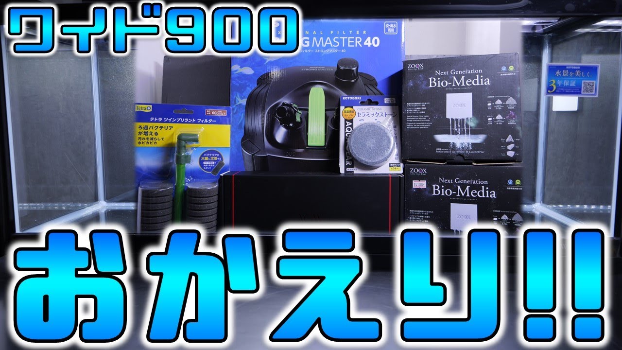 水槽】おかえり、コトブキワイド900ブラック！この水槽でしか出来ない