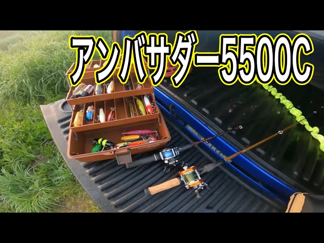 アブガルシアアンバサダー5500Cトップウォーター釣行 【タックル紹介