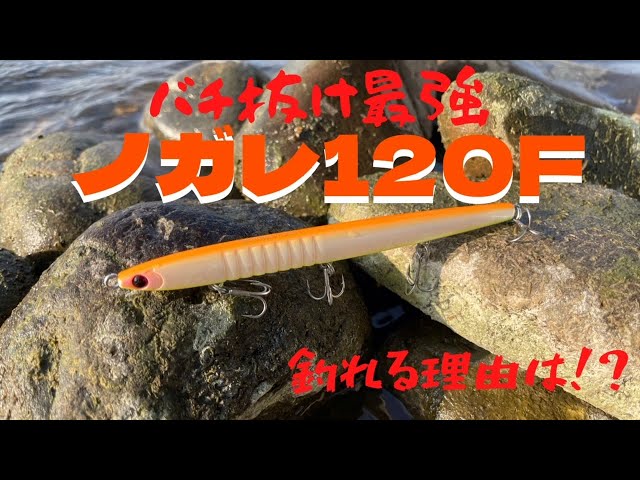 ルアー紹介】バチ抜けで大人気『ノガレ120F』 なんでこんなに釣れるの