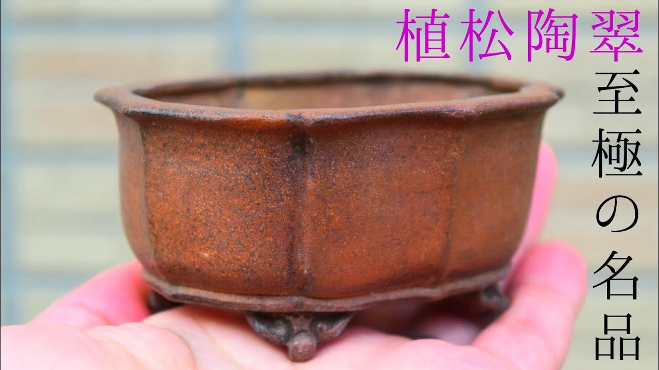 陶翠造 植木鉢4鉢一括 4鉢 盆栽鉢（小品）の販売通販（2.5