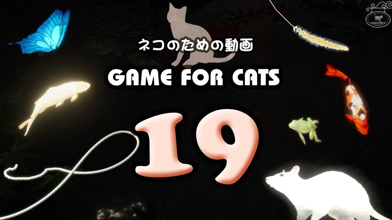 猫用動画MIX19】黒背景/鯉紐蛙鼠蝶ねこじゃらし 30分 GAME FOR CATS 19