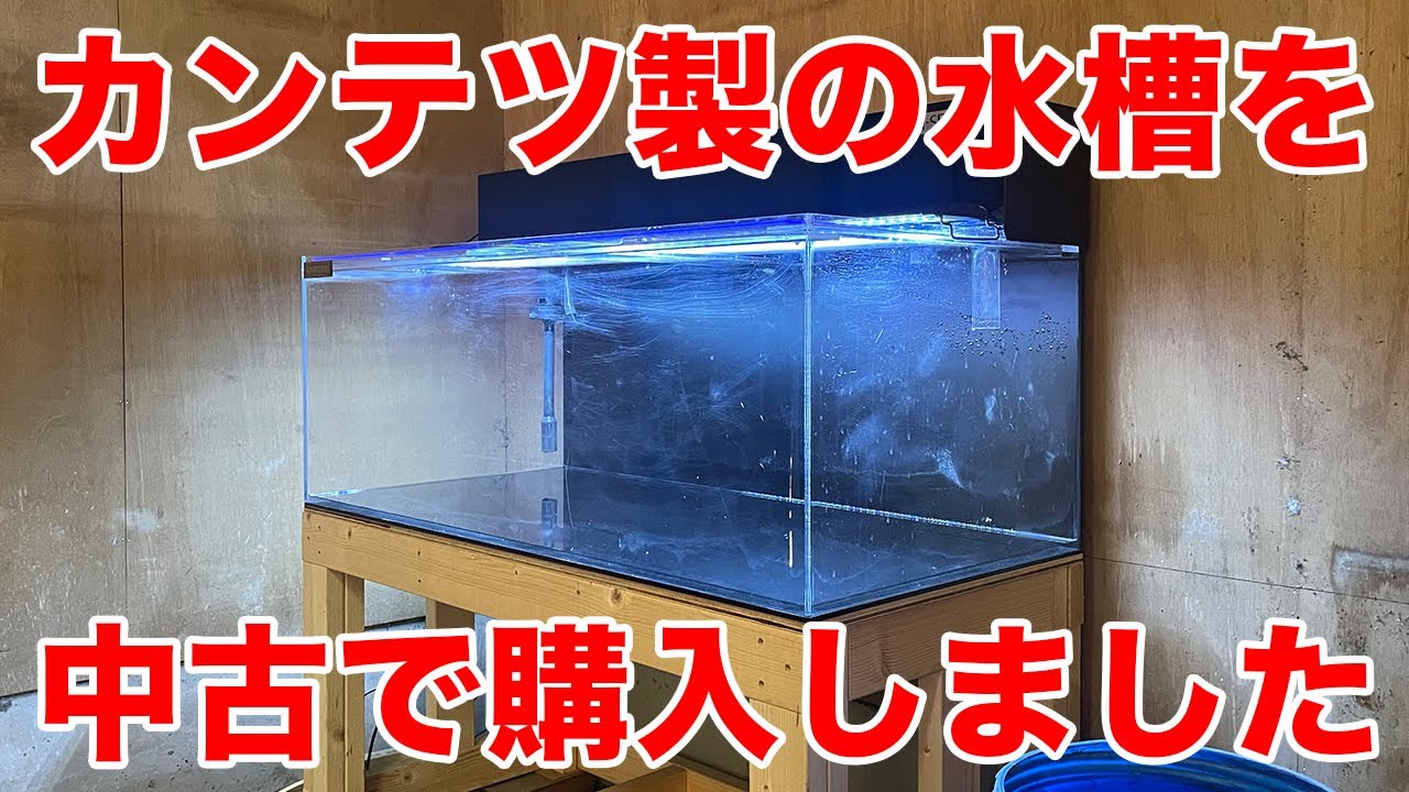 120cm水槽を購入したので紹介します！ - YouTube