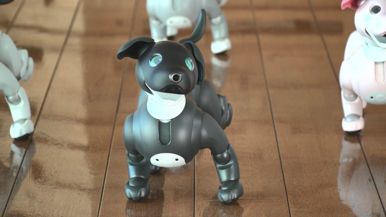 aiboエスプレッソ エディション誕生 歴代全カラーモデルがダンスで