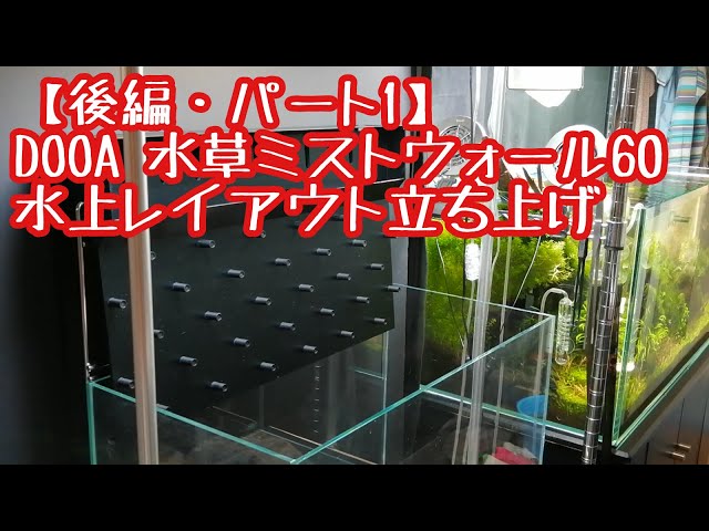 後編・パート1】DOOA 水草ミストウォール60 水上レイアウト立ち上げ