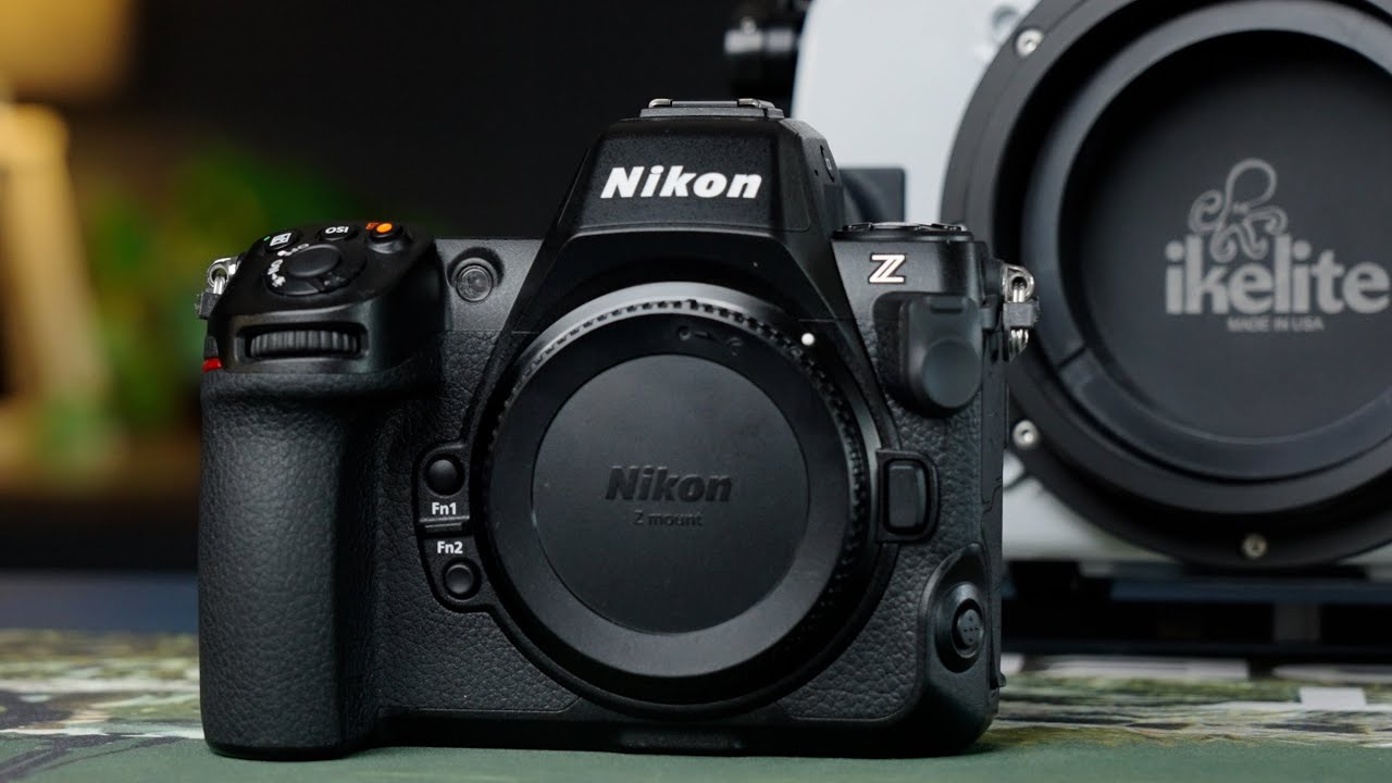 Nikon Z8 and Ikelite 200DL Underwater Housing [VIDEO]