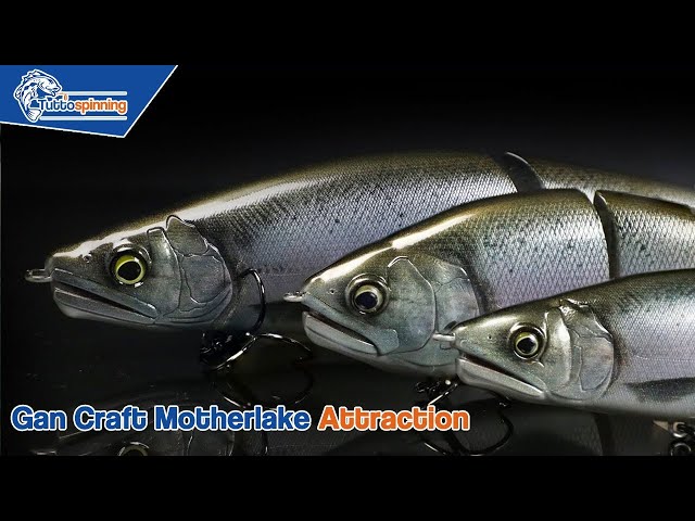 JOINTED CLAW SHIFT 183 & RATCHET 184 金鯱 JOINTED CLAW SHIFT 183