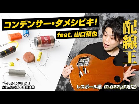 コンポーネントエレキギター、断捨離 コンポーネントエレキギター、断捨離