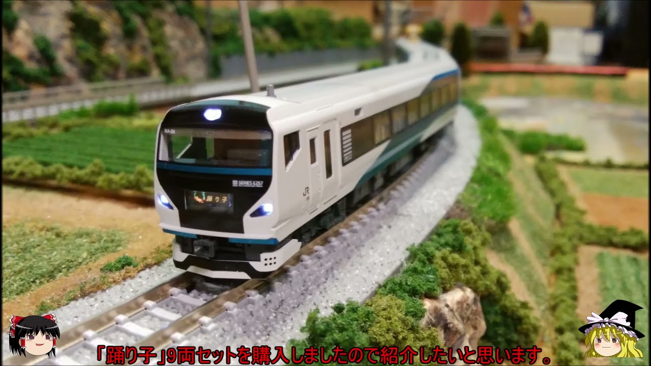 KATO 10-1613 E257系2000番台「踊り子」 9両セット