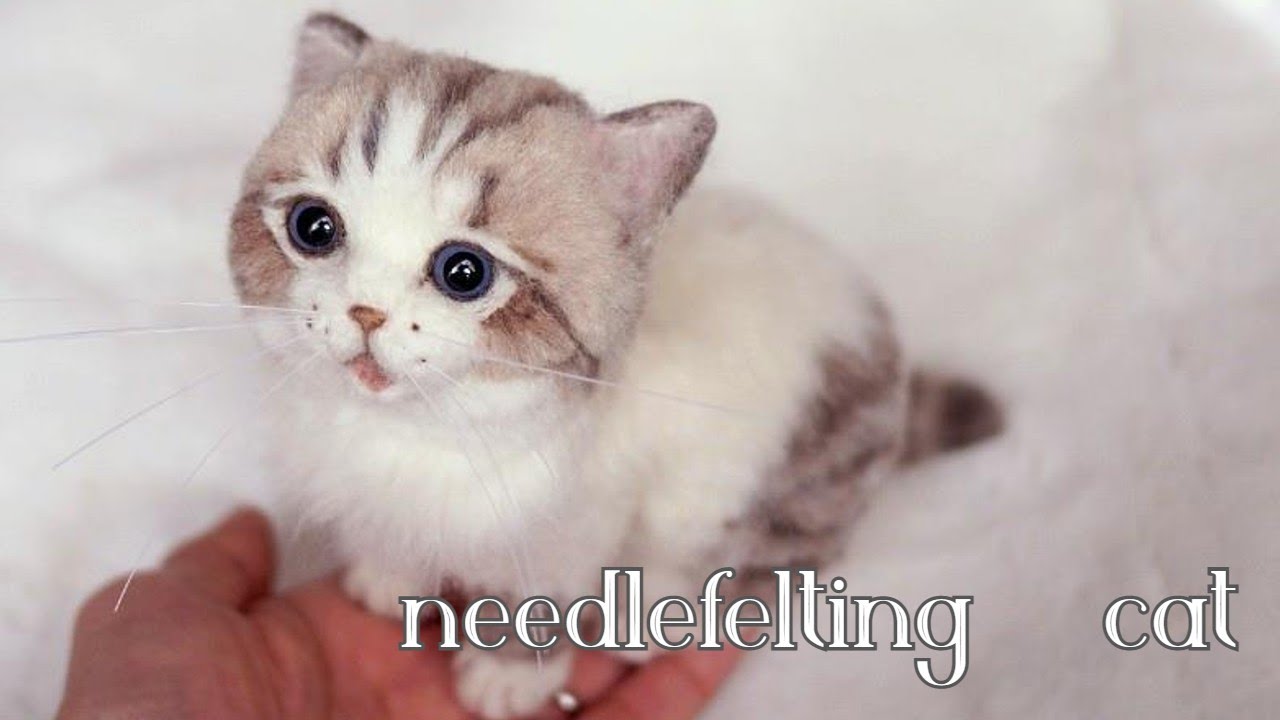 羊毛フェルトマンチカンの仔猫制作過程vol37】#craft #needlefelting