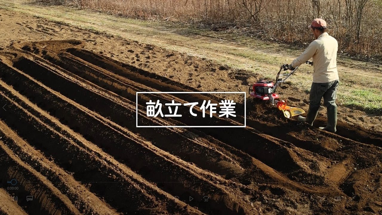 ✴︎ カルチベータ 培土機 畝立て作業 畝立て作業、培土作業・やりたい