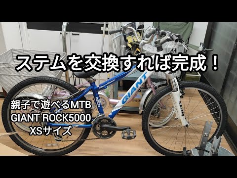 Treed Giant Rock5000 直接引取歓迎近県配送可 Treed Giant Rock5000