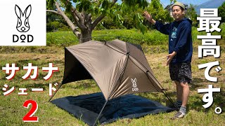 DOD】2023年一番イイ！！これはみんなにオススメしたい！サカナ