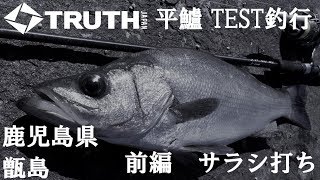 Permission 95MH (SeaBass BAIT Casting Model) | TRUTH JAPAN