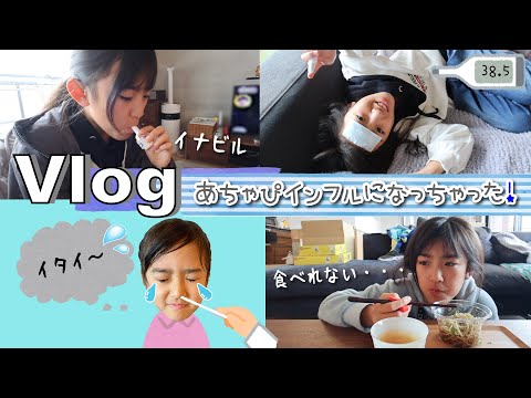 ☆Vlog☆Achapi has caught the flu - YouTube