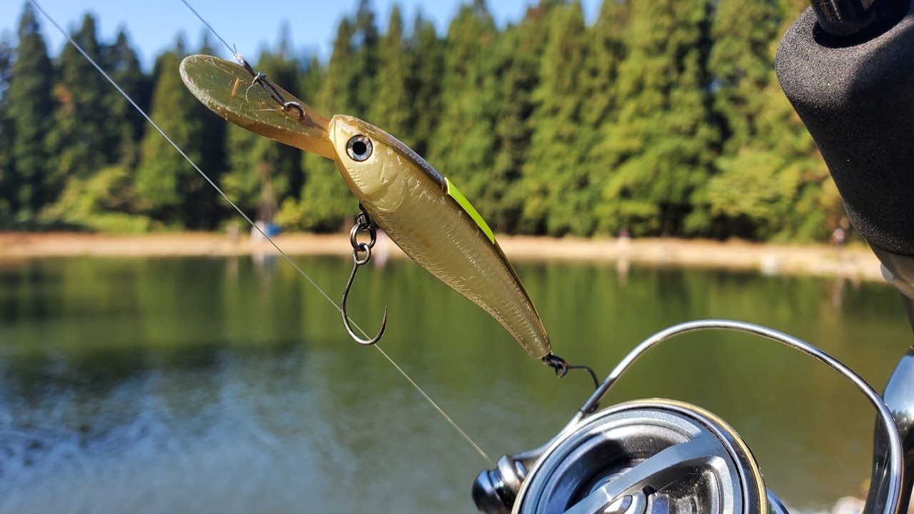 強烈】なんて引き！強敵ロックトラウトをミノーで狙う【エリアトラウト