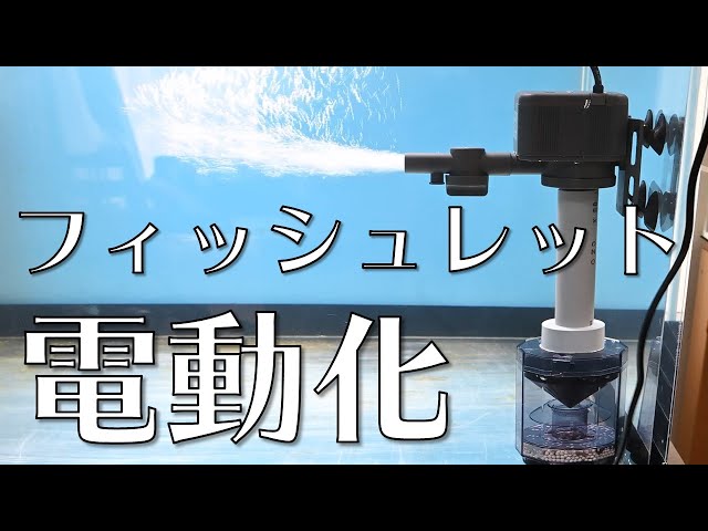 DIY改造フィッシュレット電動化 Rioポンプでやってみよう - YouTube