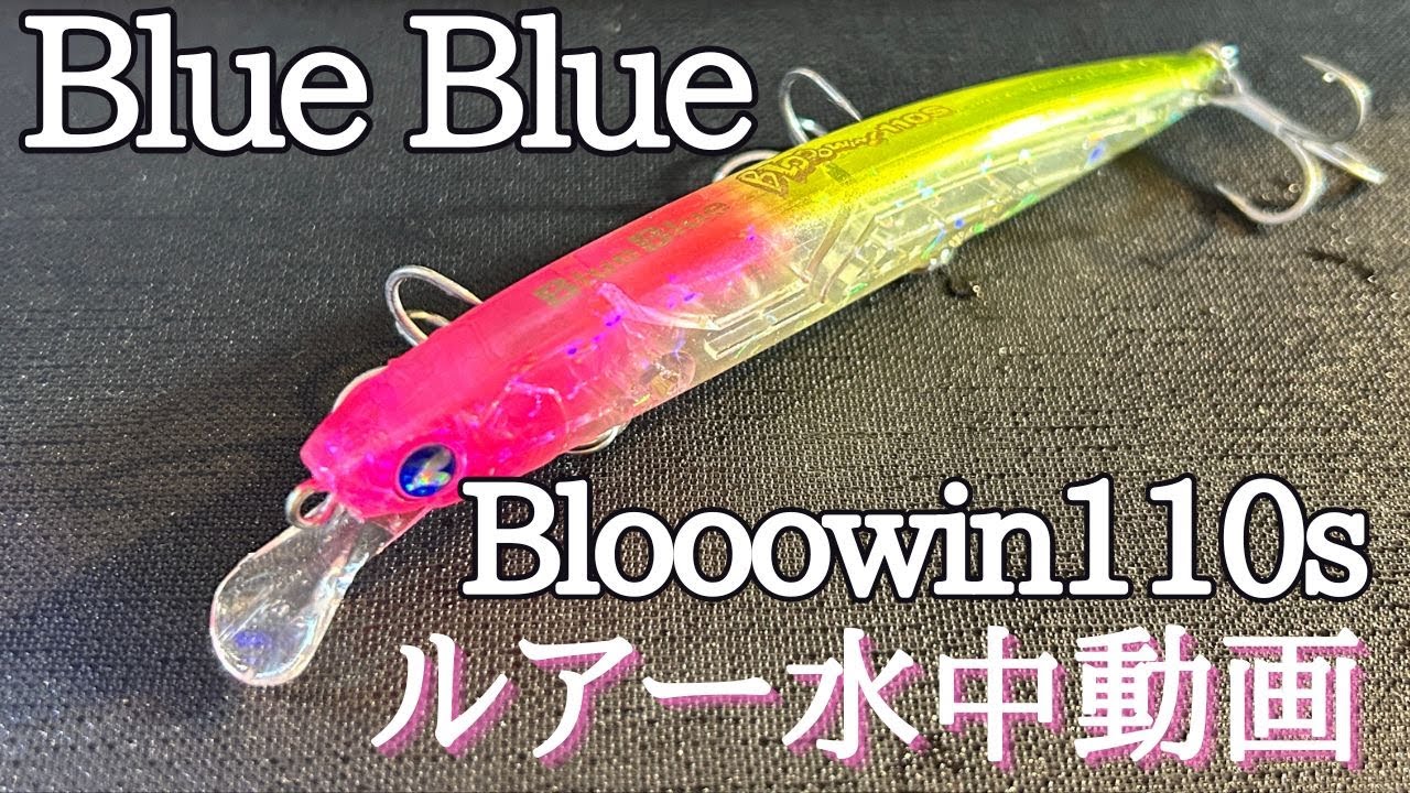 Blooowin110s】水中映像 「BlueBlue Blooowin110s」 (ブルーブルー