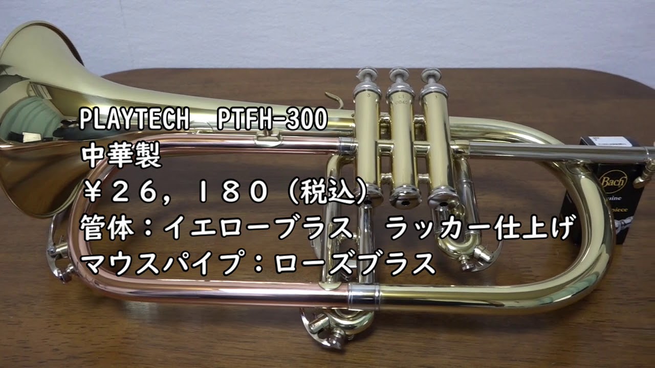 さ*し様 フリューゲルホーン PLAYTEC 美品 Amazon | PLAYTECH (プレイ
