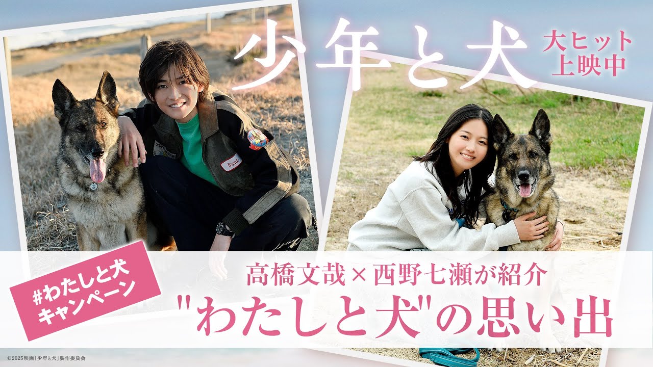 映画『少年と犬』高橋文哉 ×西野七瀬が紹介！【