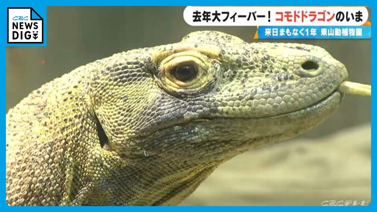 Last year's huge hit! Nagoya's Higashiyama Zoo and Botanical