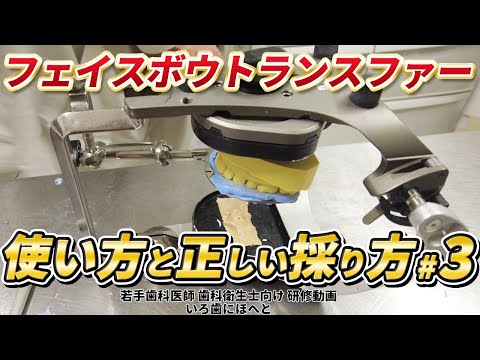 フェイスボウトランスファーの使い方、正しい採り方#3【咬合器付着