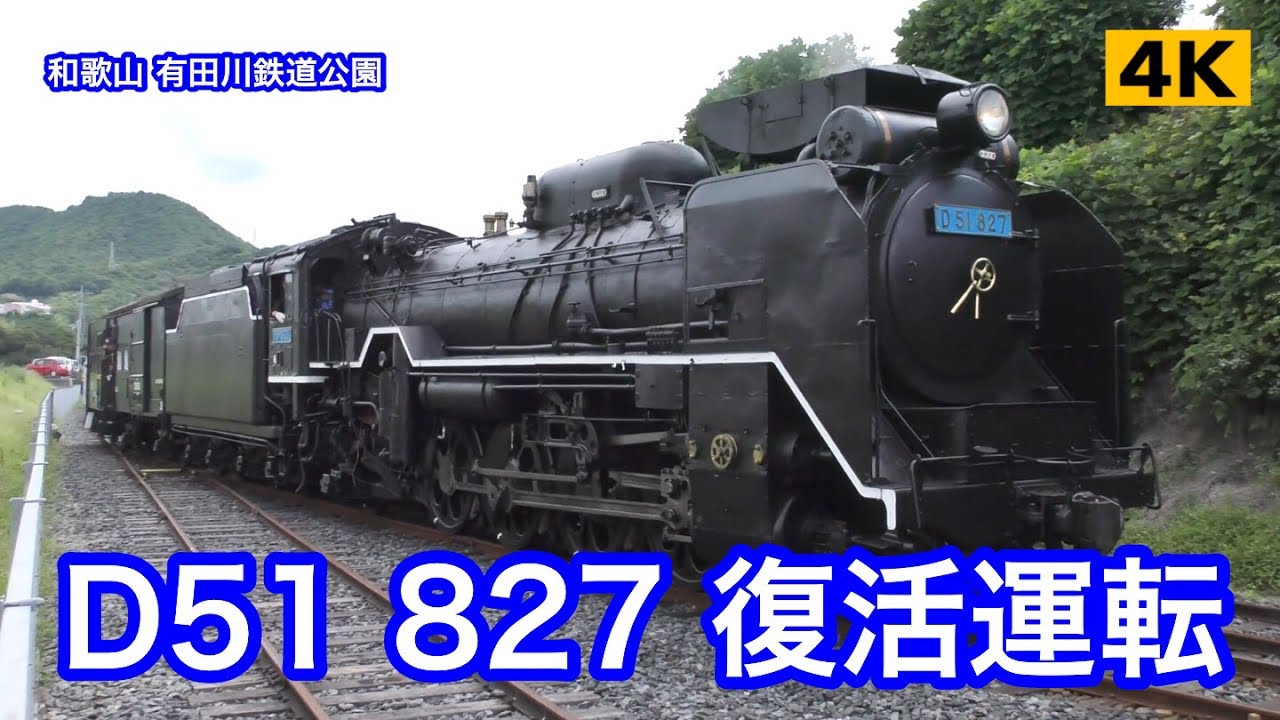 D51形蒸気機関車｜かわさき宙(そら）と緑の科学館(川崎市