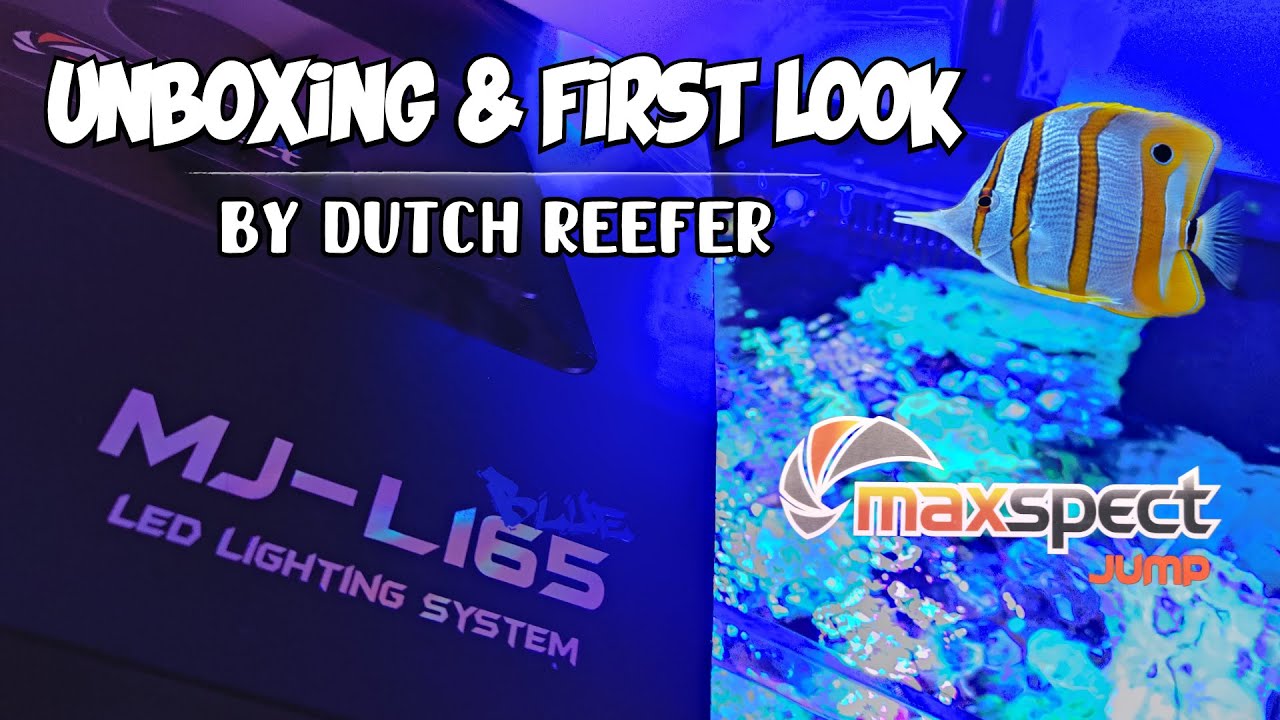 Unboxing & First Look | Maxspect Jump MJ-L165 Blue LED - YouTube