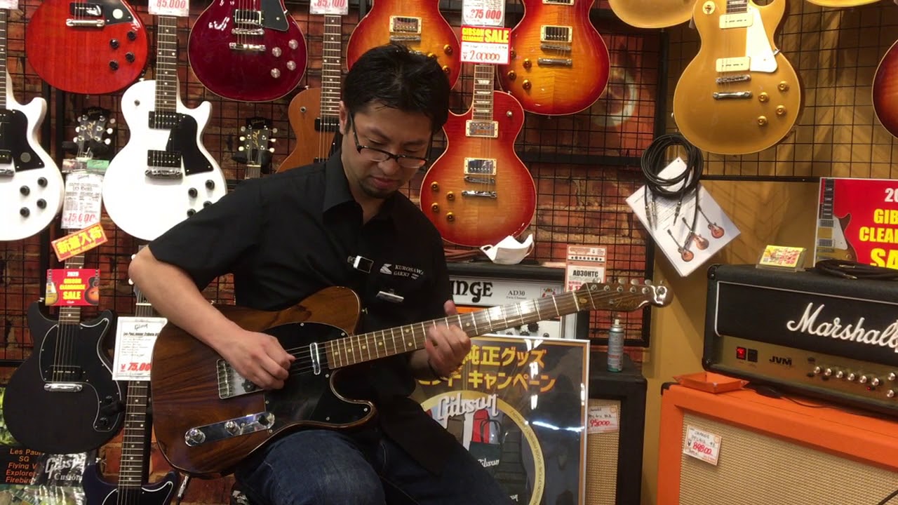 Fender Japan 【USED】All Rose TL69-115[フジゲン製][1985～86年製