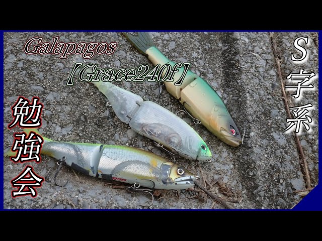 S-shape] Is this what modern glide baits look like? [Grace] - YouTube